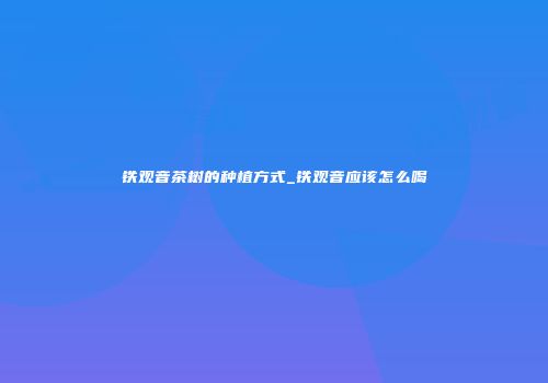 铁观音茶树的种植方式_铁观音应该怎么喝