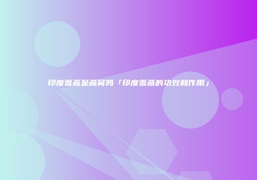 印度雪燕是燕窝吗「印度雪燕的功效和作用」