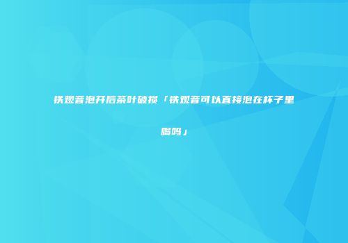 铁观音泡开后茶叶破损「铁观音可以直接泡在杯子里喝吗」