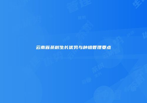 云南省茶树生长优势与种植管理要点