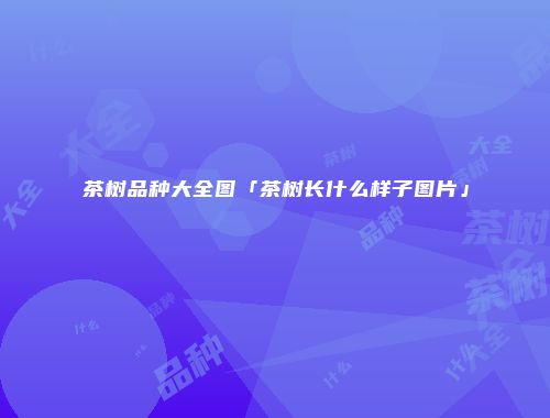 茶树品种大全图「茶树长什么样子图片」