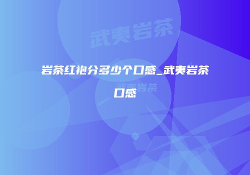 岩茶红袍分多少个口感_武夷岩茶口感