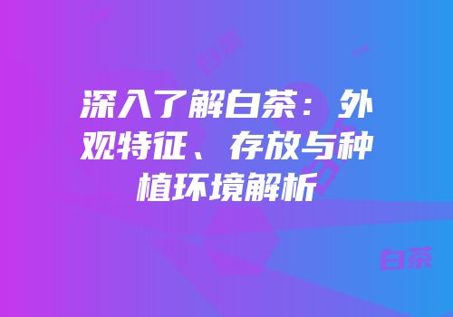 深入了解白茶：外观特征、存放与种植环境解析