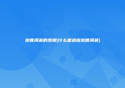 泡普洱茶的步骤(什么壶适应泡普洱茶)