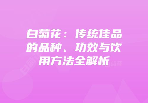 白菊花：传统佳品的品种、功效与饮用方法全解析