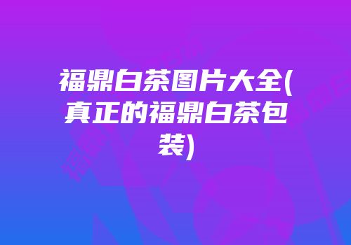 福鼎白茶图片大全(真正的福鼎白茶包装)
