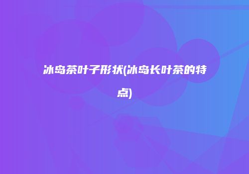 冰岛茶叶子形状(冰岛长叶茶的特点)