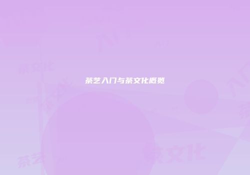 茶艺入门与茶文化概览