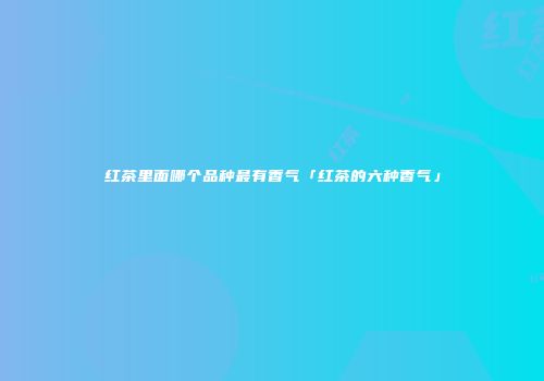 红茶里面哪个品种最有香气「红茶的六种香气」