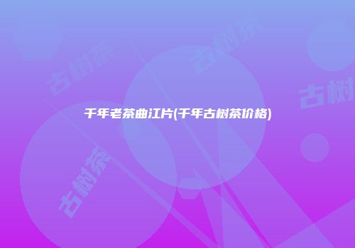 千年老茶曲江片(千年古树茶价格)