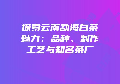 探索云南勐海白茶魅力：品种、制作工艺与知名茶厂