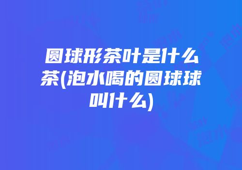 圆球形茶叶是什么茶(泡水喝的圆球球叫什么)