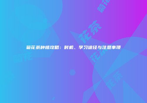 菊花茶种植攻略：时机、学习途径与注意事项