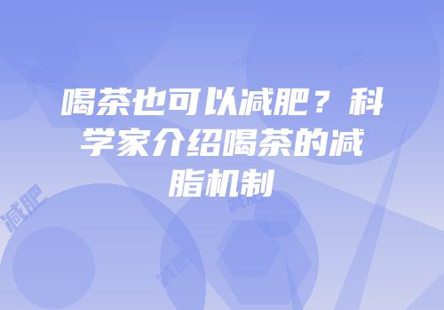 喝茶也可以减肥？科学家介绍喝茶的减脂机制