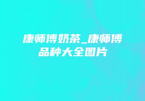 康师傅奶茶_康师傅品种大全图片