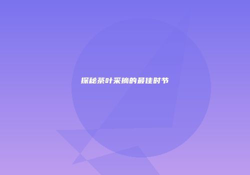探秘茶叶采摘的最佳时节