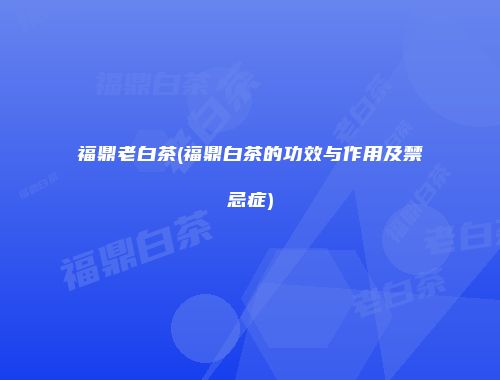 福鼎老白茶(福鼎白茶的功效与作用及禁忌症)