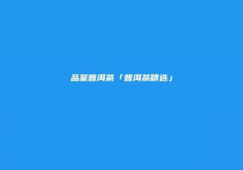 品鉴普洱茶「普洱茶精选」