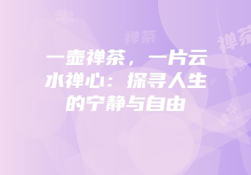 一壶禅茶，一片云水禅心：探寻人生的宁静与自由