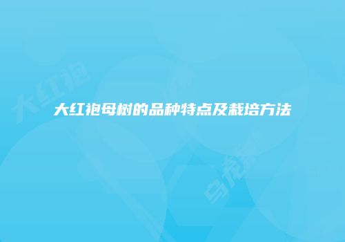 大红袍母树的品种特点及栽培方法