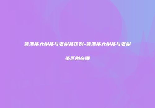 普洱茶大树茶与老树茶区别-普洱茶大树茶与老树茶区别在哪