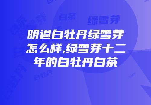 明道白牡丹绿雪芽怎么样,绿雪芽十二年的白牡丹白茶