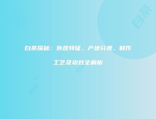 白茶探秘：外观特征、产地分类、制作工艺及功效全解析