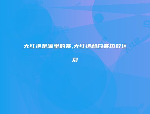 大红袍是哪里的茶,大红袍和白茶功效区别