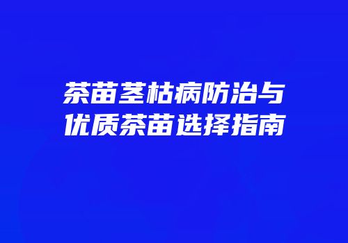 茶苗茎枯病防治与优质茶苗选择指南