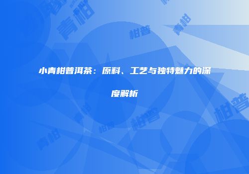 小青柑普洱茶：原料、工艺与独特魅力的深度解析