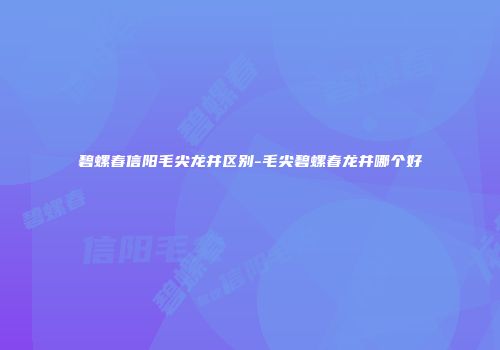 碧螺春信阳毛尖龙井区别-毛尖碧螺春龙井哪个好