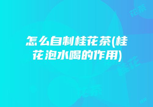 怎么自制桂花茶(桂花泡水喝的作用)