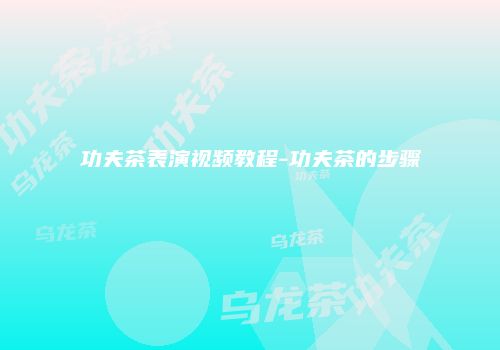 功夫茶表演视频教程-功夫茶的步骤