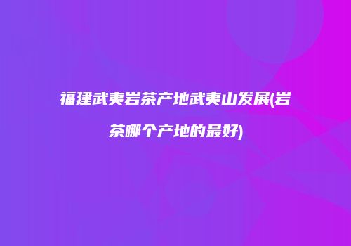 福建武夷岩茶产地武夷山发展(岩茶哪个产地的最好)