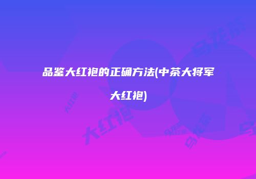 品鉴大红袍的正确方法(中茶大将军大红袍)
