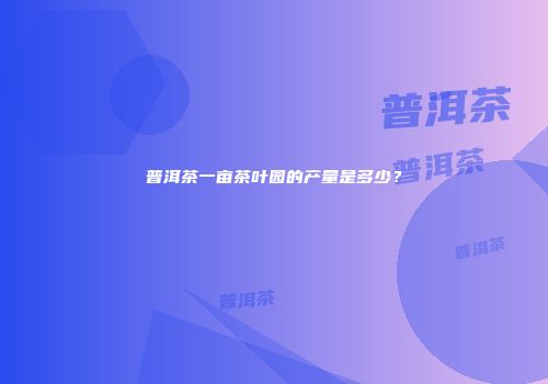 普洱茶一亩茶叶园的产量是多少？