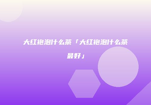 大红袍泡什么茶「大红袍泡什么茶最好」