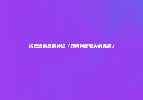铁观音的品质特征「如何判断毛尖的品质」