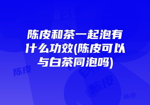 陈皮和茶一起泡有什么功效(陈皮可以与白茶同泡吗)
