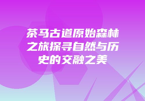 茶马古道原始森林之旅探寻自然与历史的交融之美