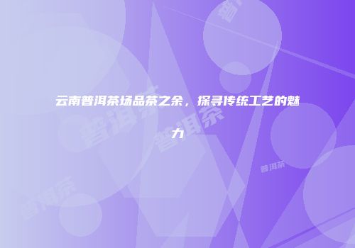云南普洱茶场品茶之余，探寻传统工艺的魅力