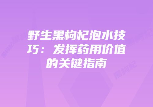 野生黑枸杞泡水技巧：发挥药用价值的关键指南