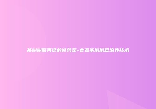 茶树树冠再造的修剪是-衰老茶树树冠培养技术