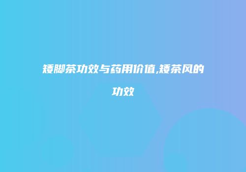矮脚茶功效与药用价值,矮茶风的功效