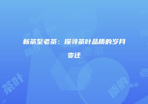新茶至老茶：探寻茶叶品质的岁月变迁