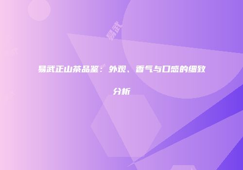 易武正山茶品鉴：外观、香气与口感的细致分析