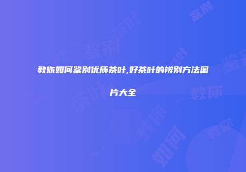 教你如何鉴别优质茶叶,好茶叶的辨别方法图片大全