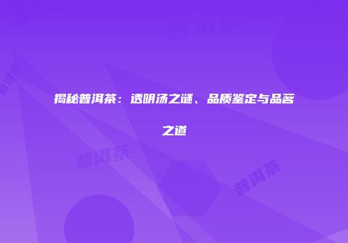 揭秘普洱茶：透明汤之谜、品质鉴定与品茗之道