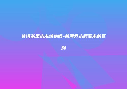 普洱茶是木本植物吗-普洱乔木和灌木的区别