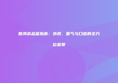 普洱茶品鉴指南：外观、香气与口感的全方位鉴赏